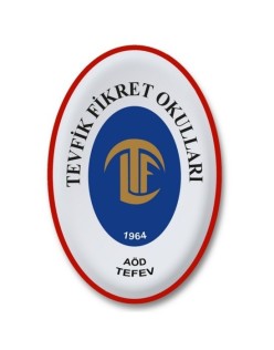 A4 KAĞIT ÇİZGİLİ RENKLİ