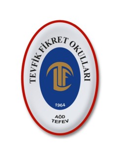 TFL KİTAP İSTEĞE BAĞLI  ALINACAK ZORUNLU DEĞİL Le Dalf 100% reussite C1/C2  112043 